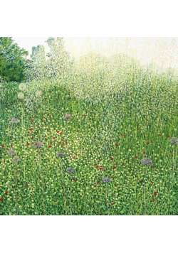 Karnet z kopertą Trawy Harlow Carr