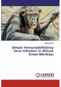 Simian Immunodeficiency Virus Infection in African Green Monkeys
