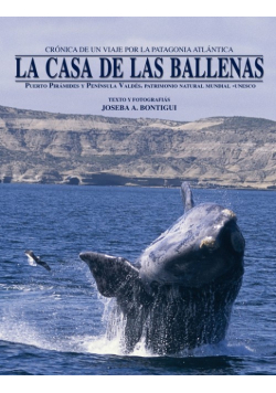 La casa de las ballenas