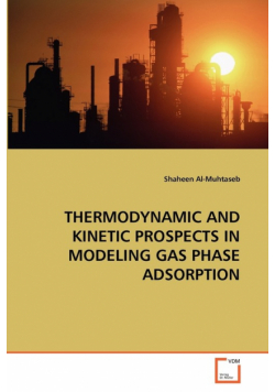 Thermodynamic And Kinetic Prospects In Modeling Gas Phase Adsorption