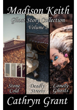 Madison Keith Ghost Story Collection - Volume 2 (Suburban Noir Ghost Stories)