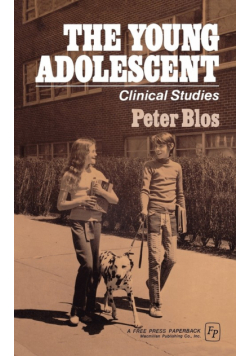 The Young Adolescent