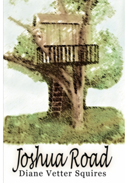 Joshua Road