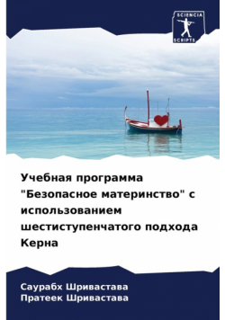 Учебная программа "Безопасное материнство" с использованием шестиступенчатого подхода Керна