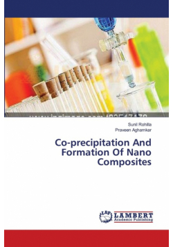 Co-precipitation And Formation Of Nano Composites