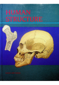 Human structure