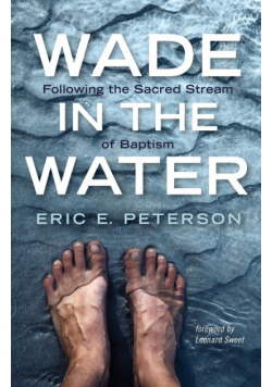 Wade in the Water
