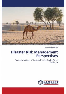 Disaster Risk Management Perspectives