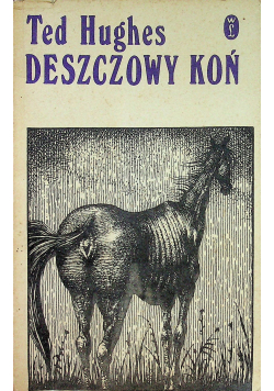 Deszczowy koń i inne opowiadania