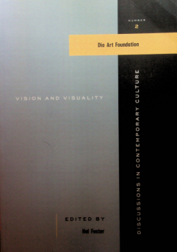 Vision and visuality