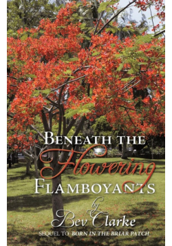 Beneath the Flowering Flamboyants