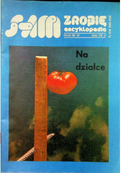 Sam zrobię encyklopedia