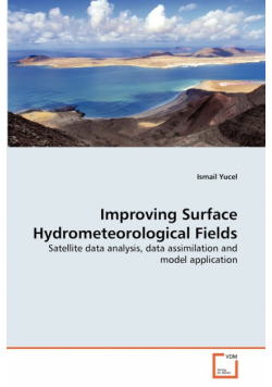 Improving Surface Hydrometeorological Fields