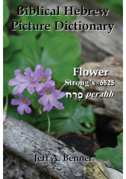 Biblical Hebrew Picture Dictionary
