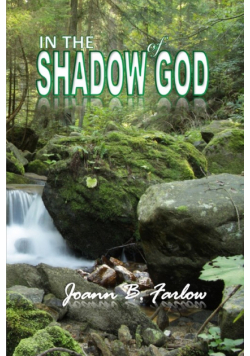 In The Shadow of God