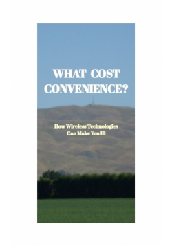 What Cost Convenience?