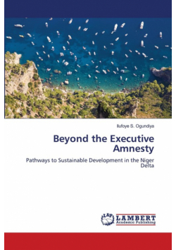 Beyond the Executive Amnesty