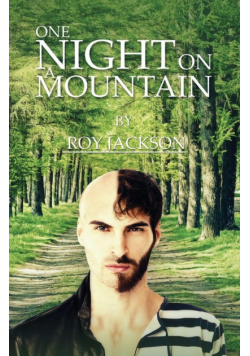 One Night On A Mountain
