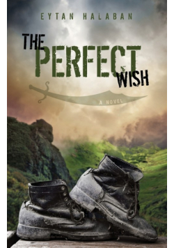 The Perfect Wish