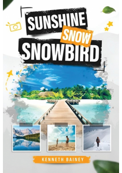 Sunshine Snow Snowbird