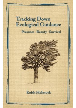 Tracking Down Ecological Guidance