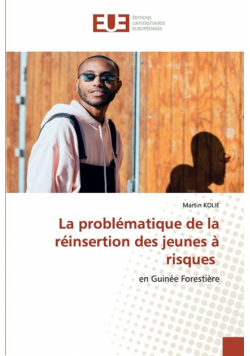 La problématique de la réinsertion des jeunes à risques