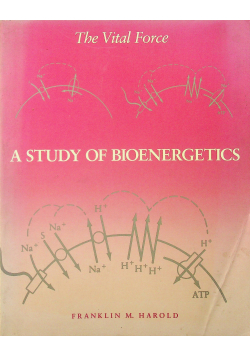 A study of bioenergetics