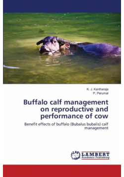 Buffalo calf management on reproductive and performance of cow
