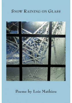 Snow Raining on Glass