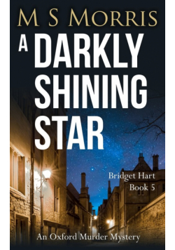 A Darkly Shining Star