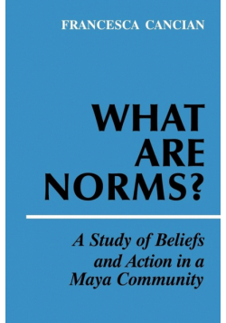 What Are Norms?