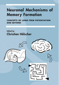 Neuronal Mechanisms of Memory Formation