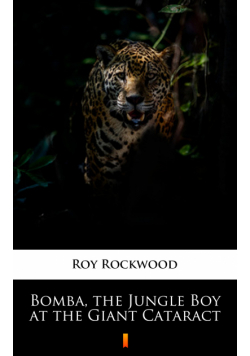 Bomba, the Jungle Boy at the Giant Cataract