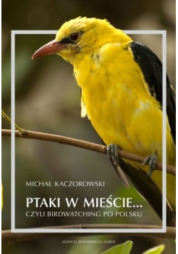 Ptaki w mieście czyli birdwatching po polsku Nowa