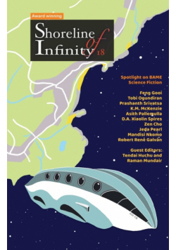 Shoreline of Infinity 18