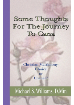 Some Thoughts for the Journey to Cana