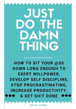 Just Do The Damn Thing