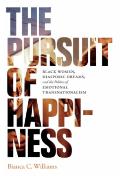 The Pursuit of Happiness