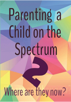 Parenting a Child on the Spectrum 2