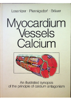 Myocardium vessels calcium
