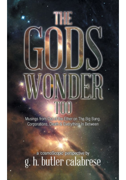 The Gods Wonder Too