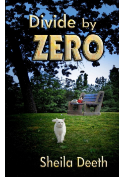 Divide by Zero