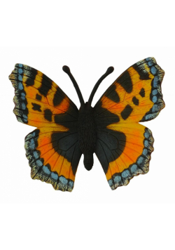 Motyl Rusałka pokrzywnik