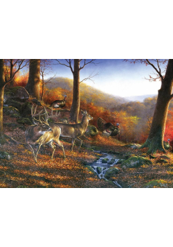 Puzzle 1000 Spotkanie na wzgórzach Shawnee