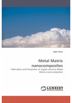 Metal Matrix Nanocomposites