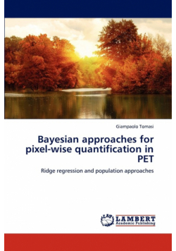 Bayesian Approaches for Pixel-Wise Quantification in Pet