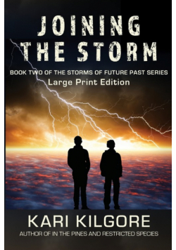 Joining the Storm