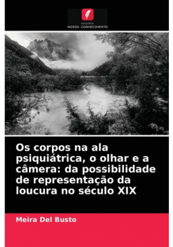 Os corpos na ala psiquiátrica, o olhar e a câmera