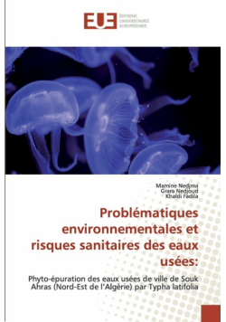 Problématiques environnementales et risques sanitaires des eaux usées