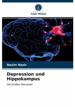 Depression und Hippokampus